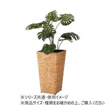 プランター角ハイタイプ GRNB-53L
