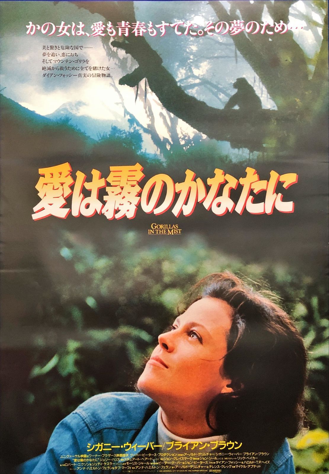 L『愛は霧のかなたに』映画オリジナルB2判ポスター ld07313 - メルカリ