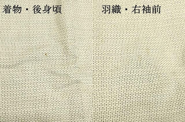 白大島 アンサンブル