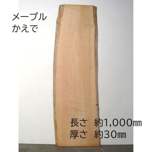 カナディアンメープル 耳付板 DIY 楓 天然木 一枚板 無垢材 No.97