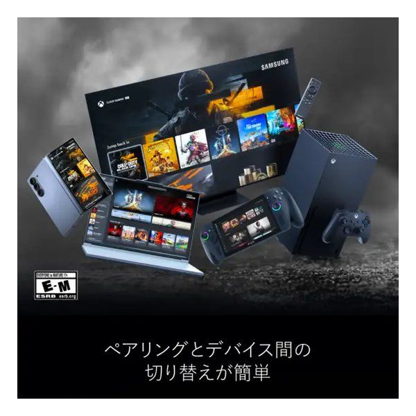 コントローラー ストームブレイカー