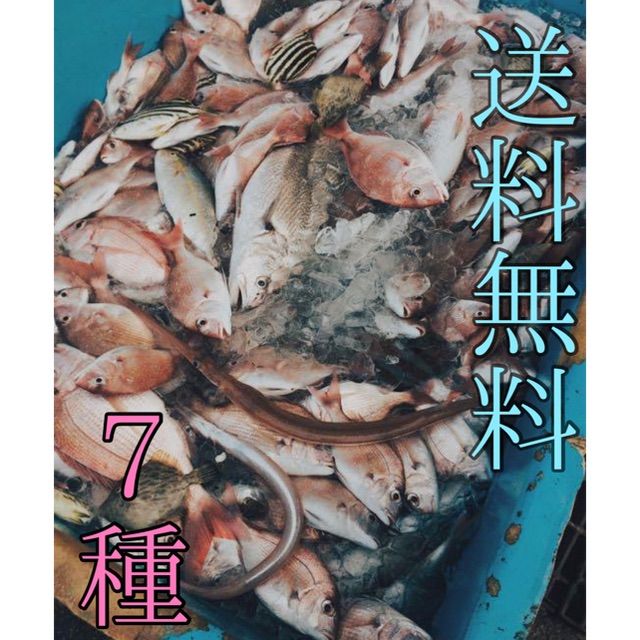 お得な旬の干物セット！7種 - 干魚 - メルカリ