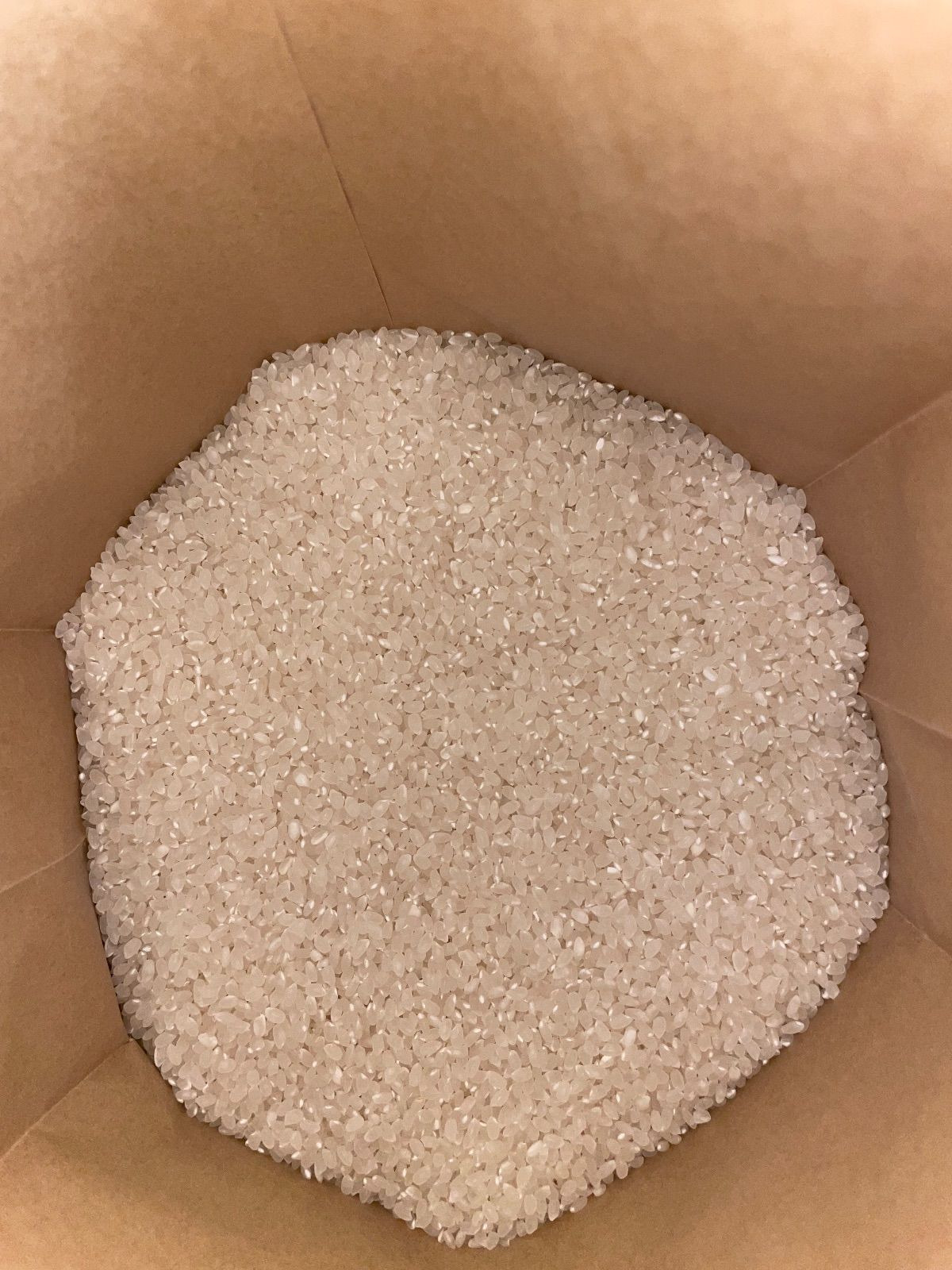 令和7年福島県産1等新米コシヒカリ10kg精米