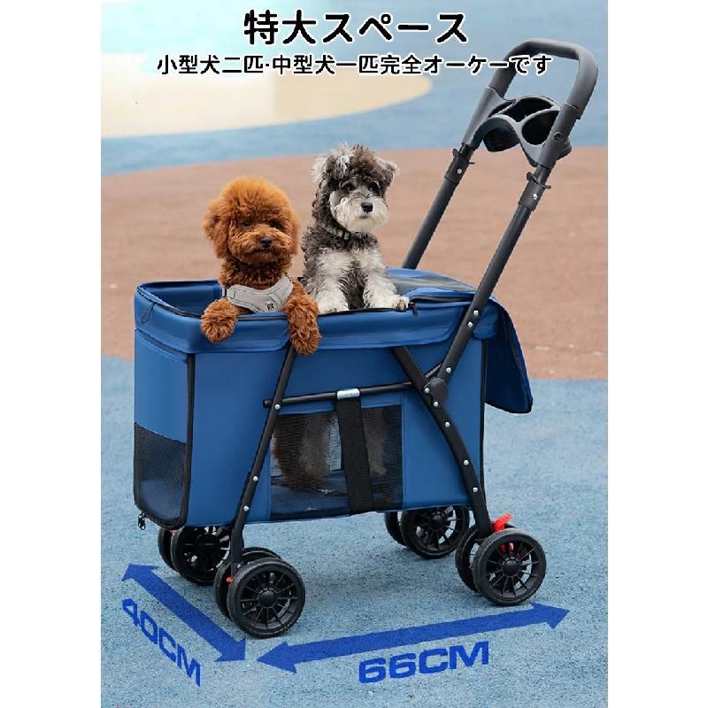 中型犬