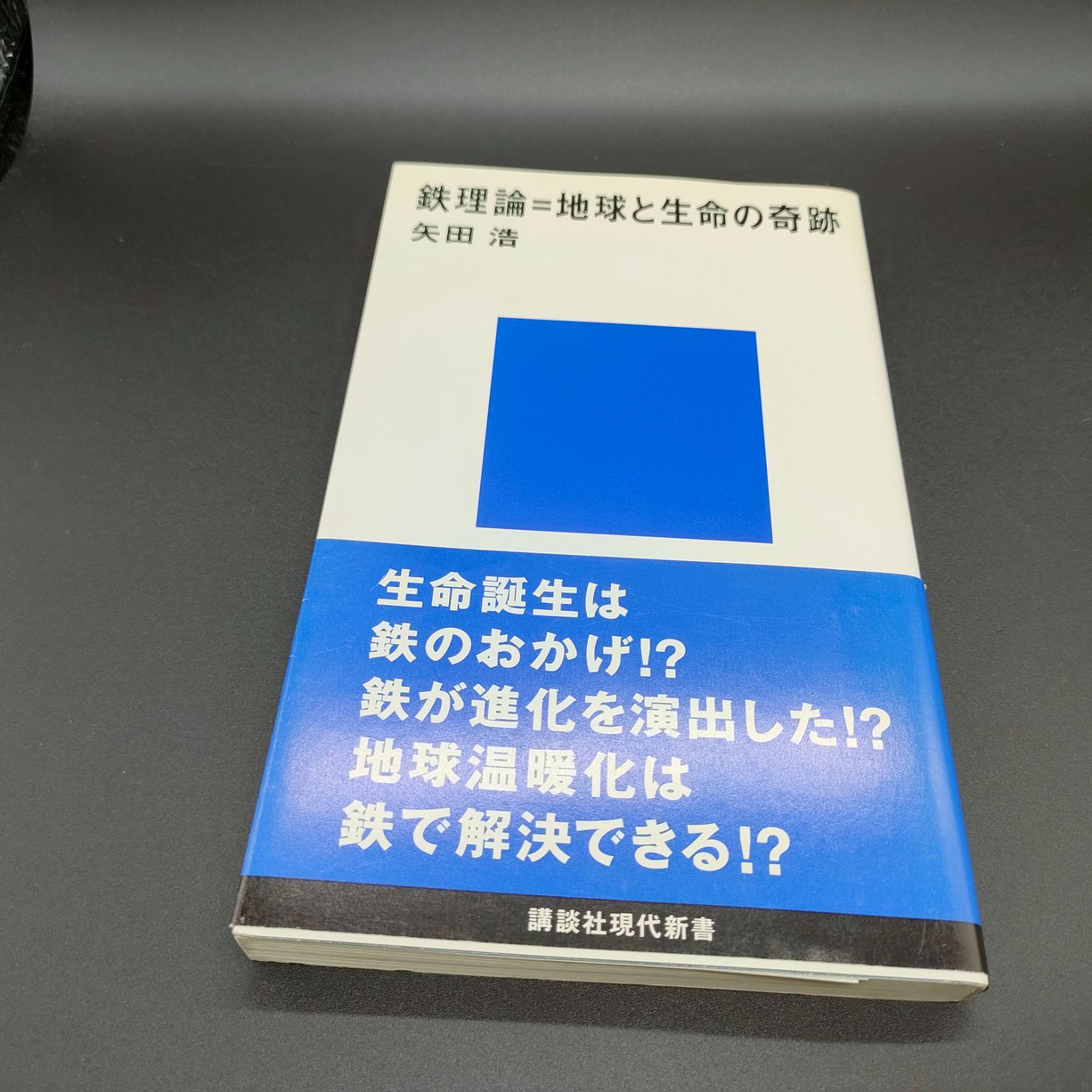 贅沢品 鉄理論＝地球と生命の奇跡 環境][マテリアル] 矢田 メルカリ - 浩 健康・医学