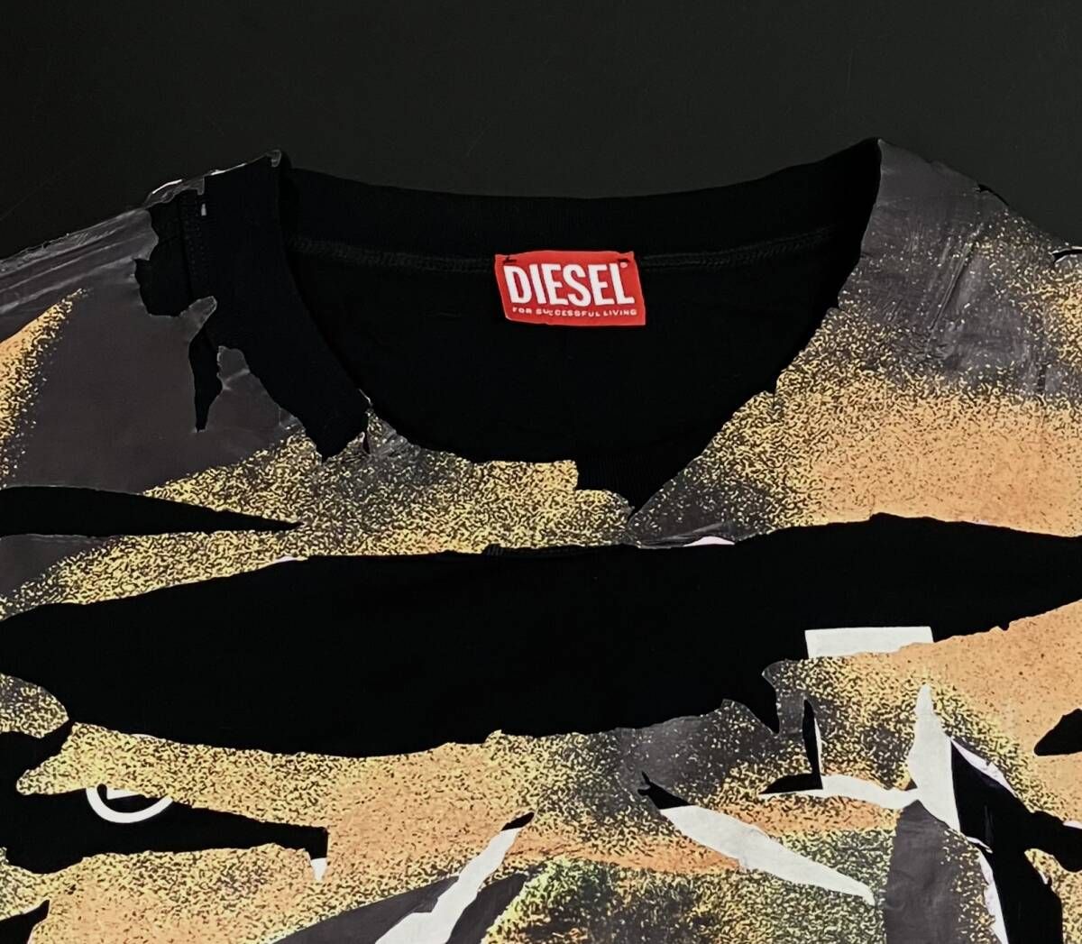 ディーゼル　グレン・マーティンス　長袖Tシャツ ディーゼル グレン・マーティンス 長袖Tシャツ