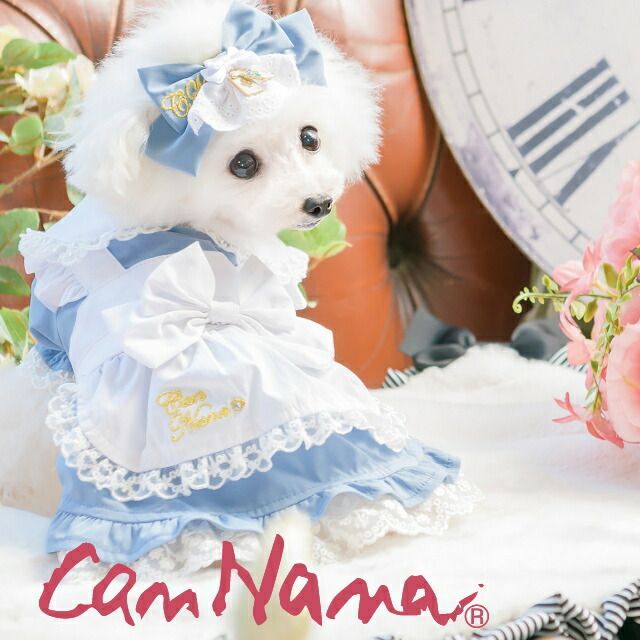 IRO +IRO 神楽めあになれる！ナポレオン風ユニセックスパーカー 神楽め