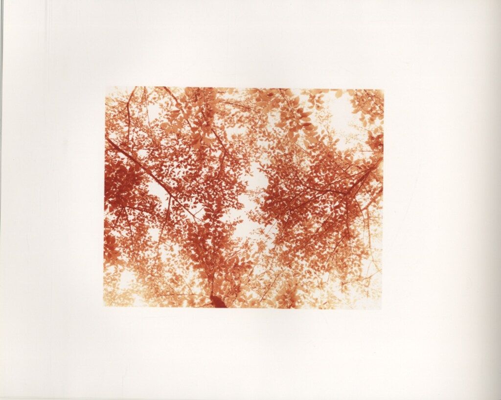 佐内正史 Trouble in Mind - メルカリ