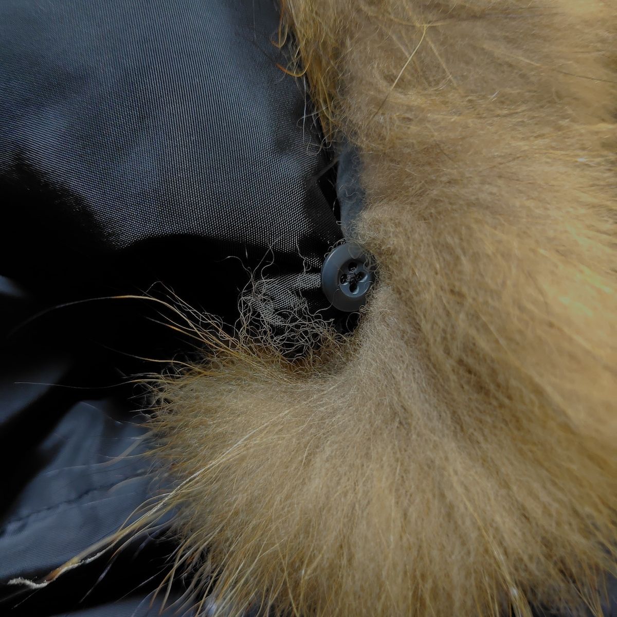 ゴア ダウンベスト