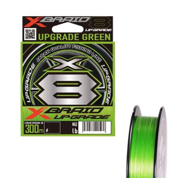 油彩画 「 ハスと太鼓橋 」 原画 額付 P10号 購入