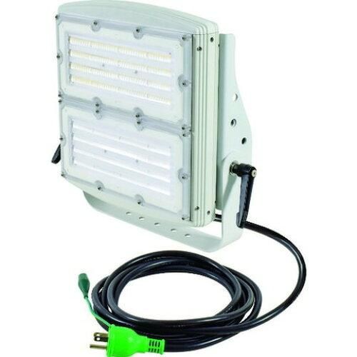 2営業日で発送 日動工業 日動 スクエアライト200W 電源装置一体型 昼白色 投光器型