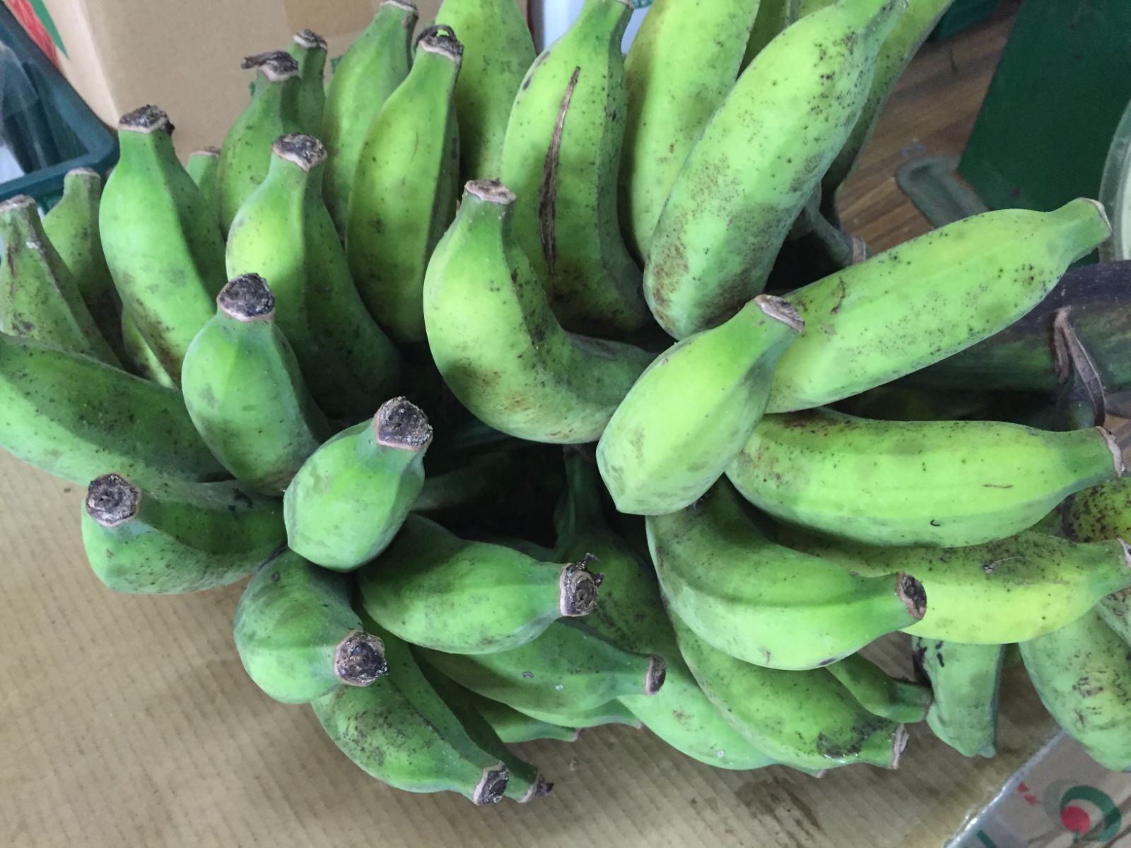 15日までの出品です:沖縄☆小笠原種バナナ　約３キロ