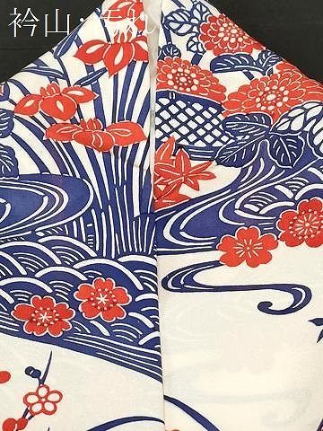 平和屋着物○上質な小紋 型染め 流水花鳥文 ロング丈 正絹 逸品