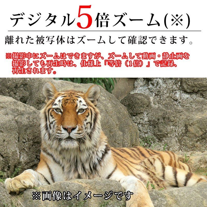 デジタルナイトビジョン