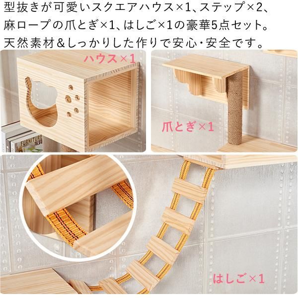 猫用