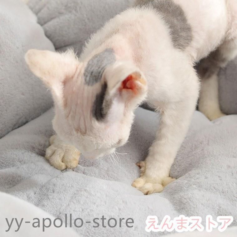 犬ベッド 愛犬