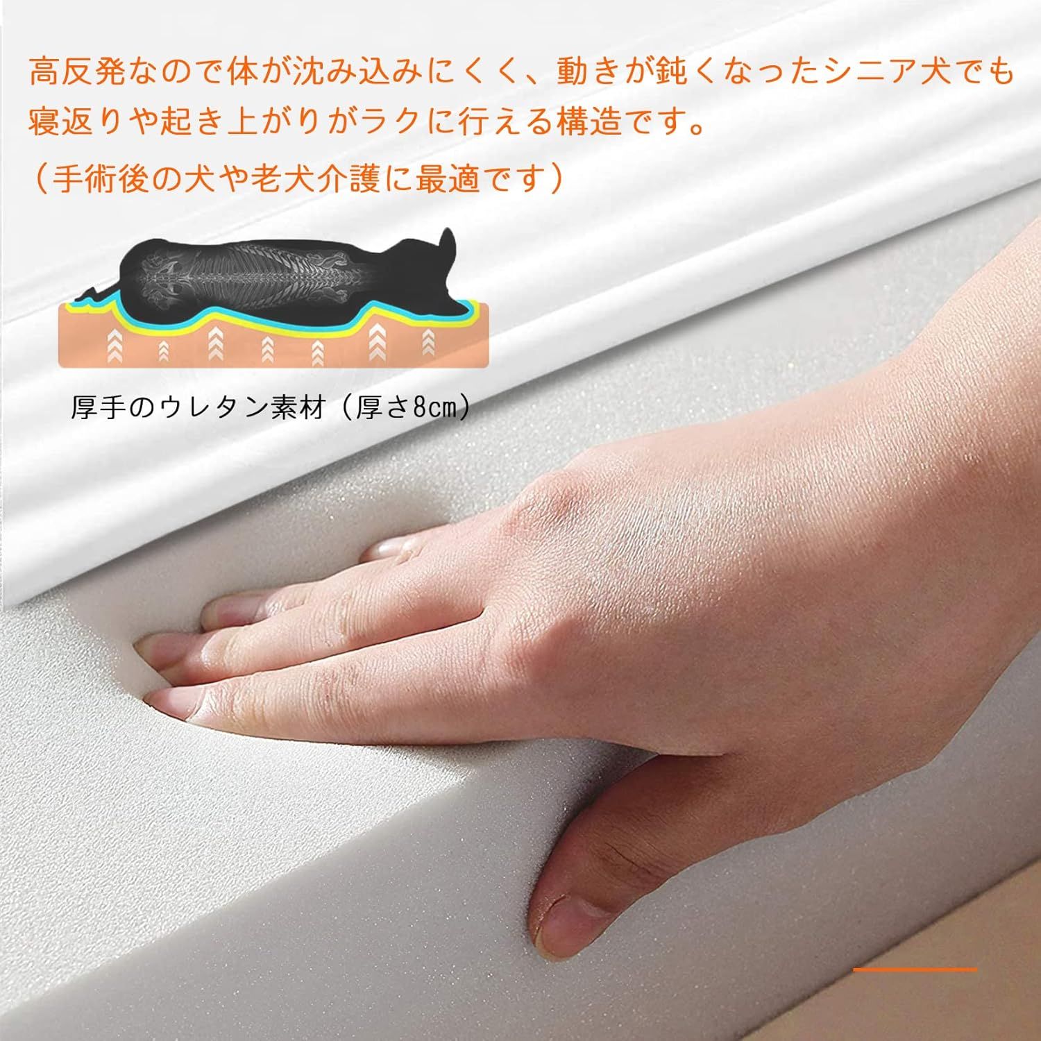 丈夫