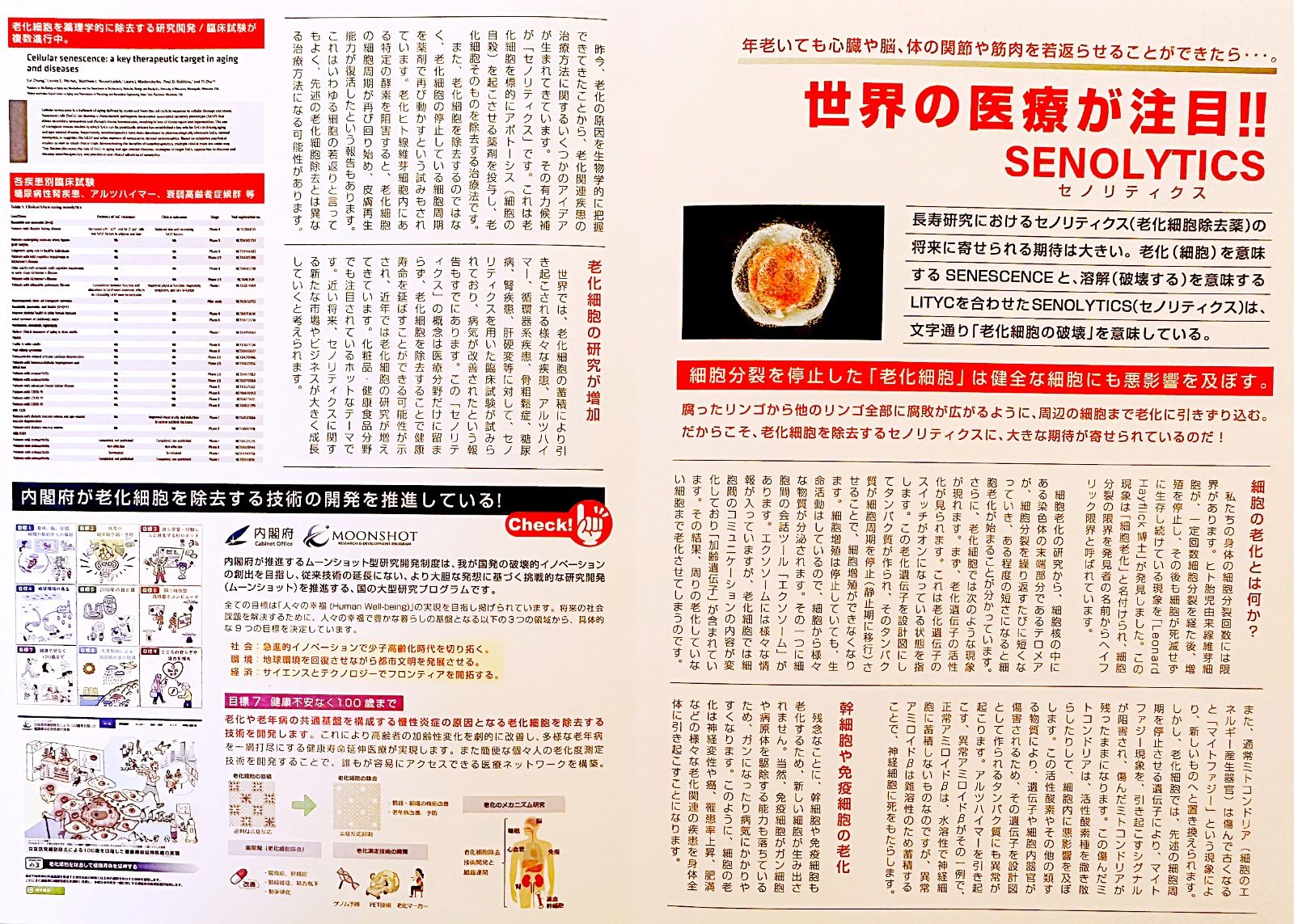 セノリックス 老化細胞除去 セノリティクス 美容液アースジャパン - 美容液