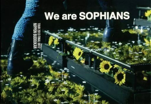 2025人気新作 / SOPHIA 中古】邦楽DVD TOUR 2013年8 FINAL 未来大人宣言 2013 ミュージック