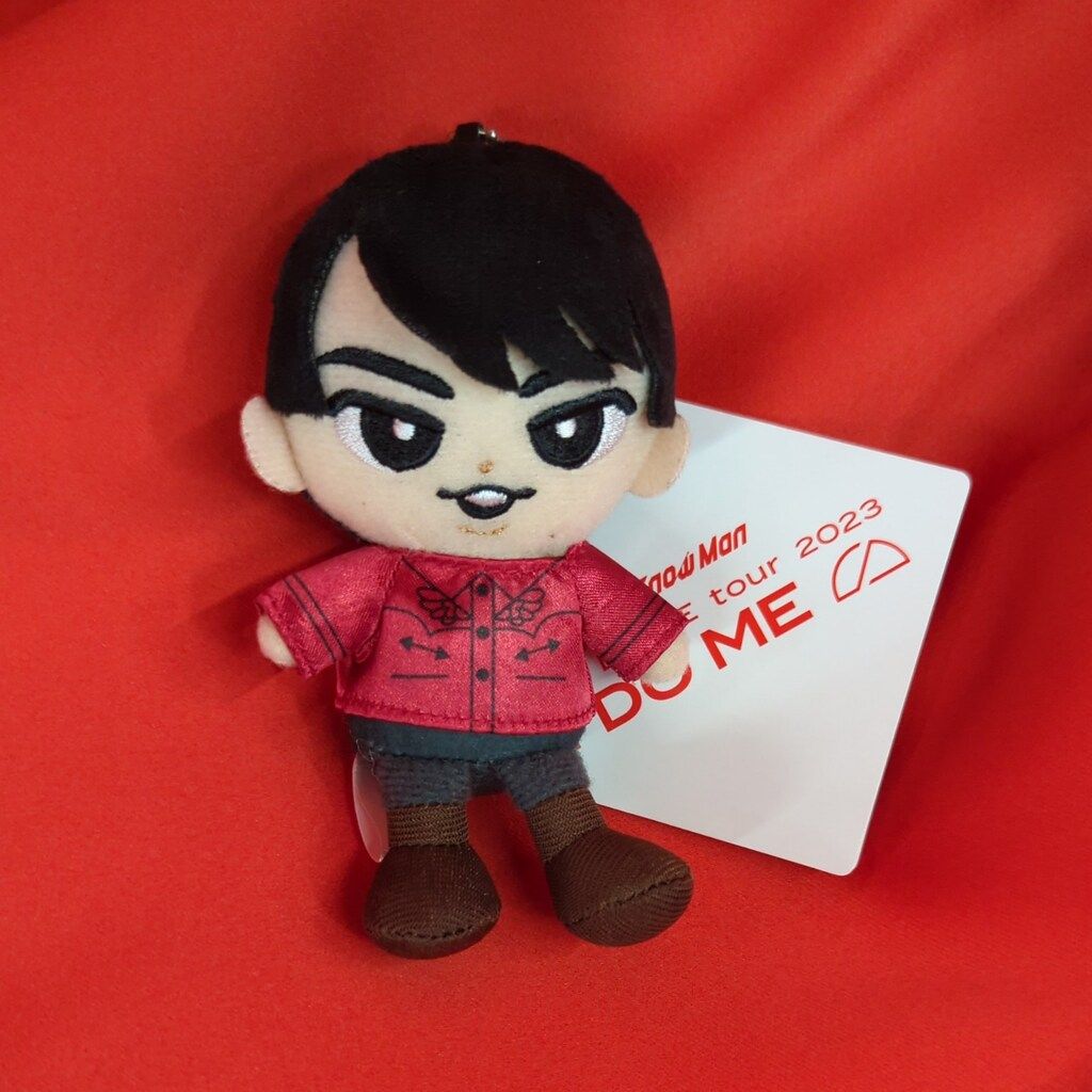 SnowMan 宮舘涼太 ぬいぐるみ Snow Man すのチル BIG ぬいぐるみ 宮舘