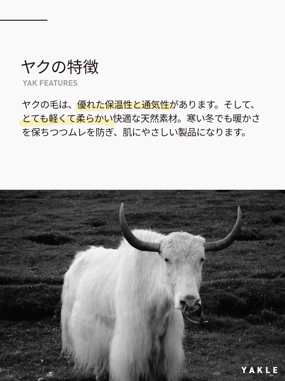 日本通販 セール！ヤクウールレギンス ヤク100％ XLサイズ モンゴル産
