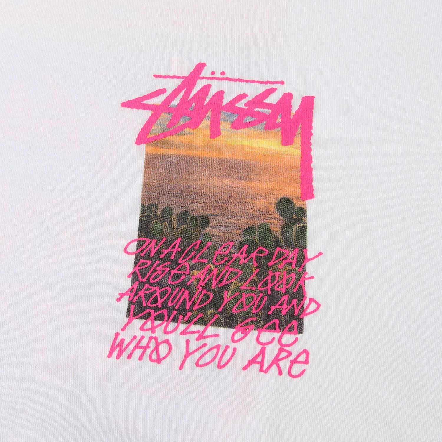 STUSSY ステューシー Tシャツ サイズ:XL 20SS カリフォルニア 