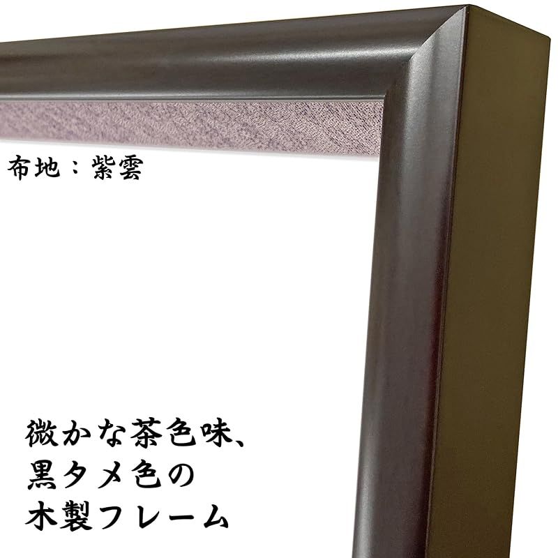 勲章ケースも飾れるコンパクト叙勲額 志賀 (単光章・双光章・小