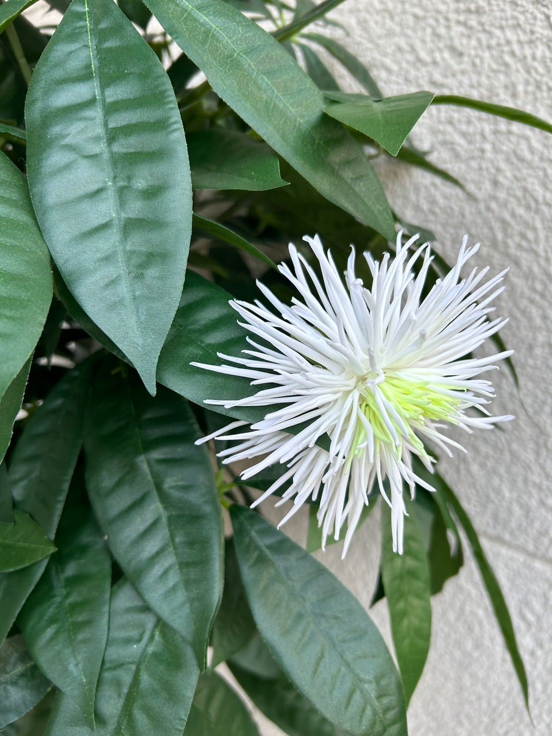 光触媒　人工観葉植物　ウォールグリーン　フェイクグリーン　スリムパキラ10346 人工観葉・フェイクグリーン 光触媒 人工観葉植物 ウォールグリーン