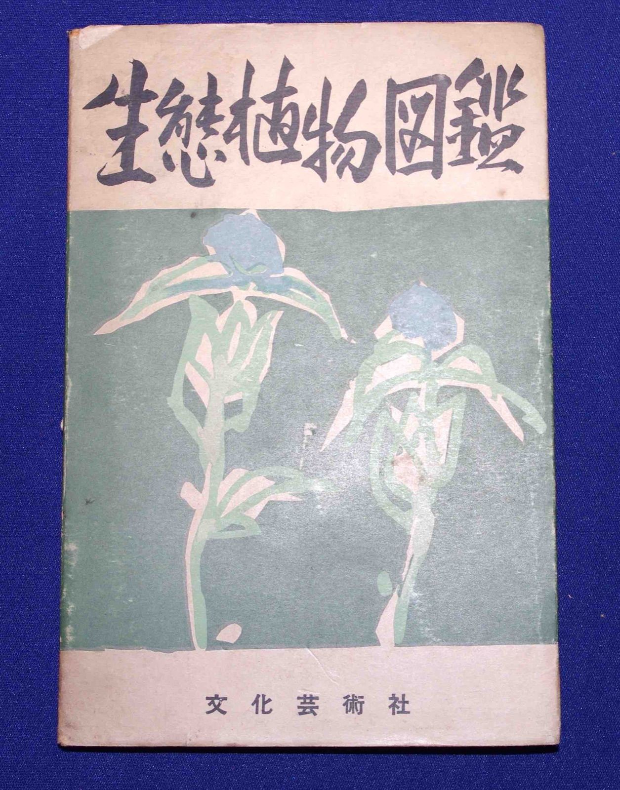 生態植物図鑑堀川芳雄、文化芸術社、昭和31年/c463