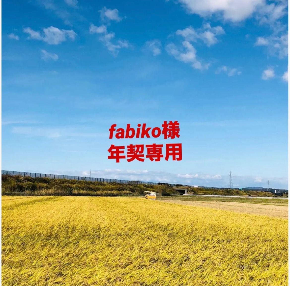 【fabiko様年契専用】令和6年度新米あきたこまち精米20kg