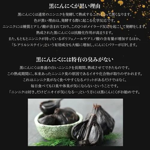 黒にんにく発酵器 AZ-1300H