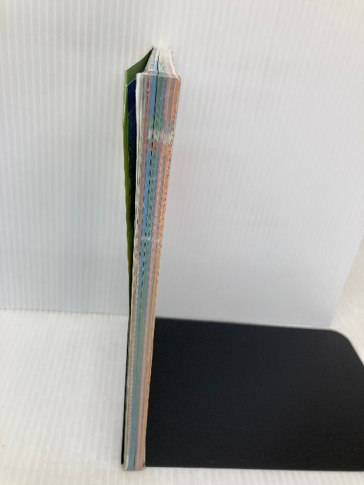 E06 地球の歩き方 イラン 2007~2008 地球の歩き方 E 6 ダイヤモンド社 地球の歩き方編集室