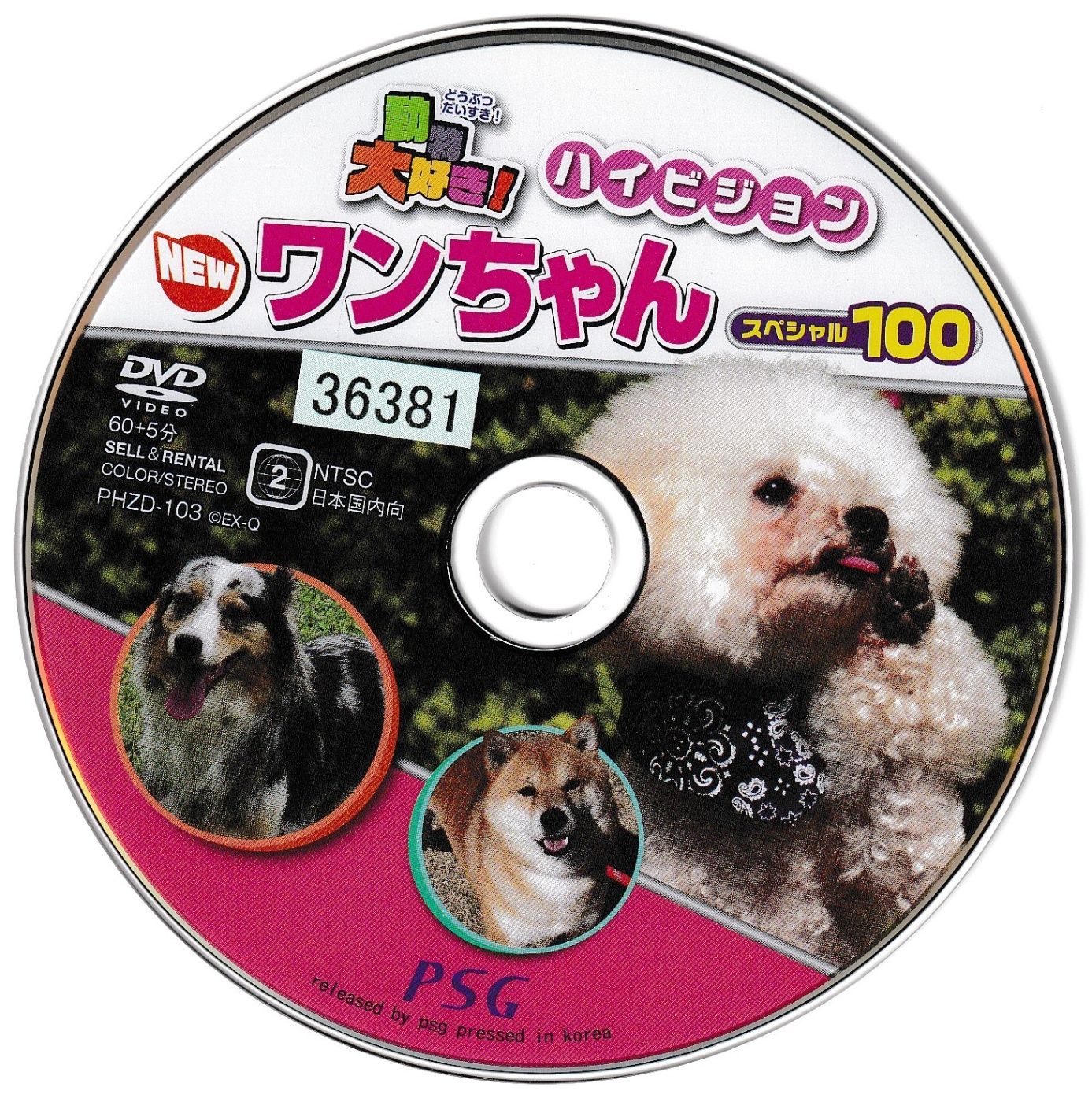 KD 1259 動物大好き！ NEW ワンちゃん スペシャル100 中古DVD - メルカリ