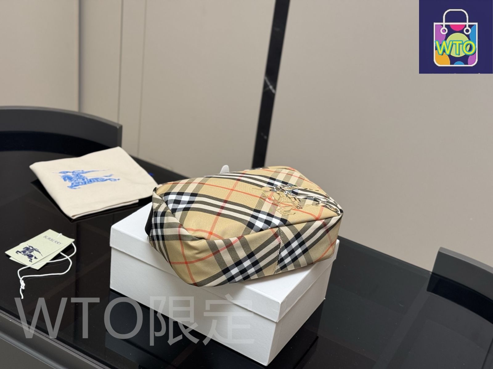 今日WTO】Burberry バーバリー 新作カメラバッグ ケース付き