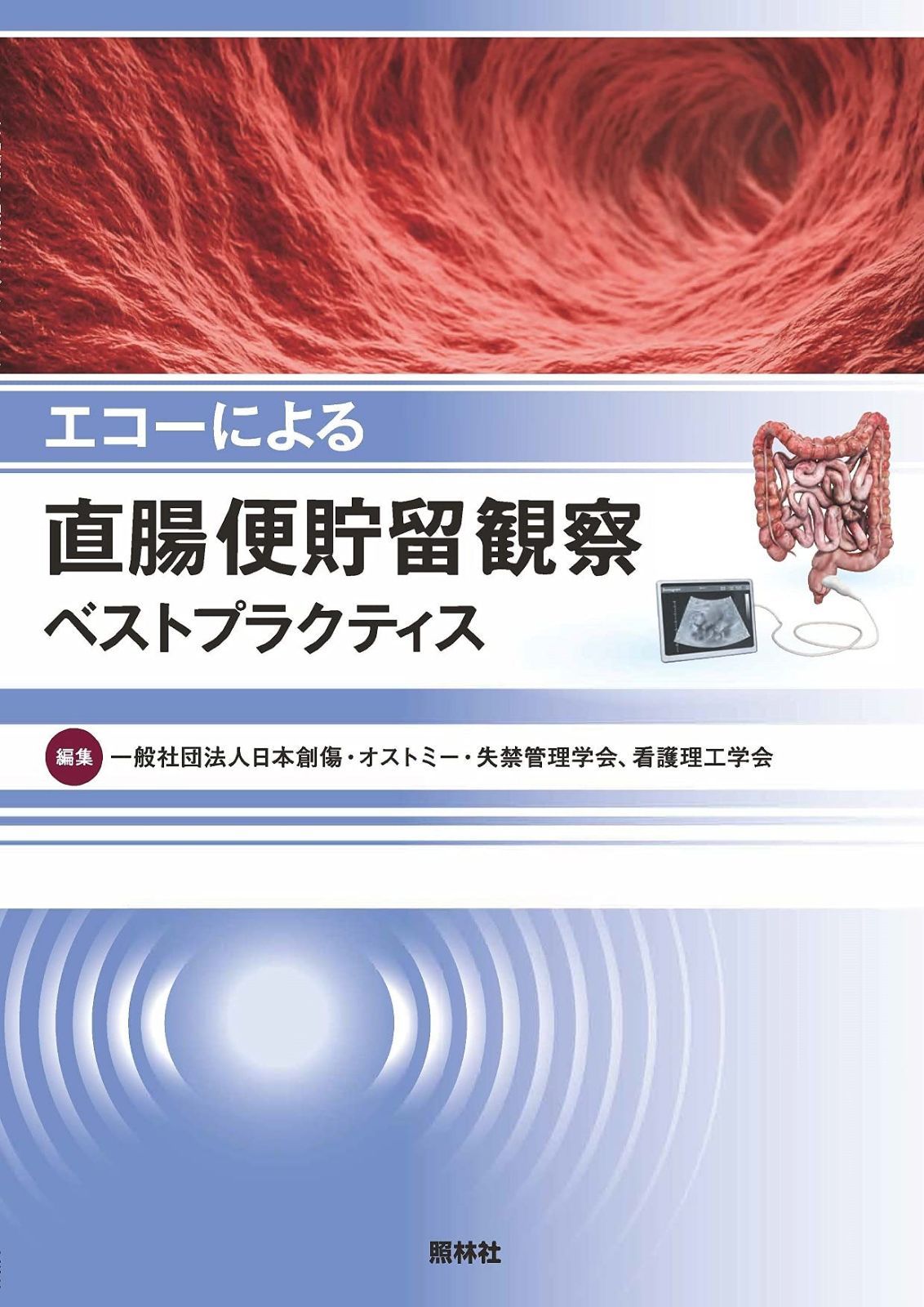 購入 希少 安齋賢太 小鉢湯呑1客 河合竜彦辻和美村上躍岡晋吾さつき