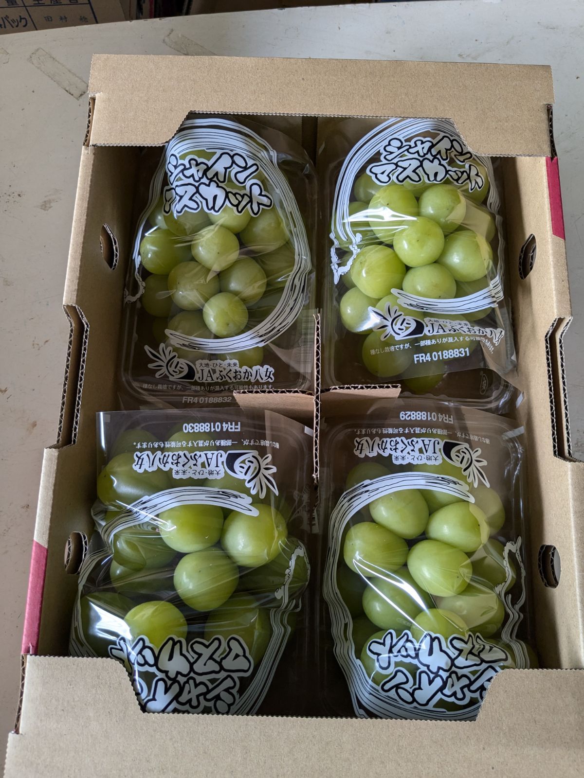 2・千葉県・norakuro様専用・ピノガール