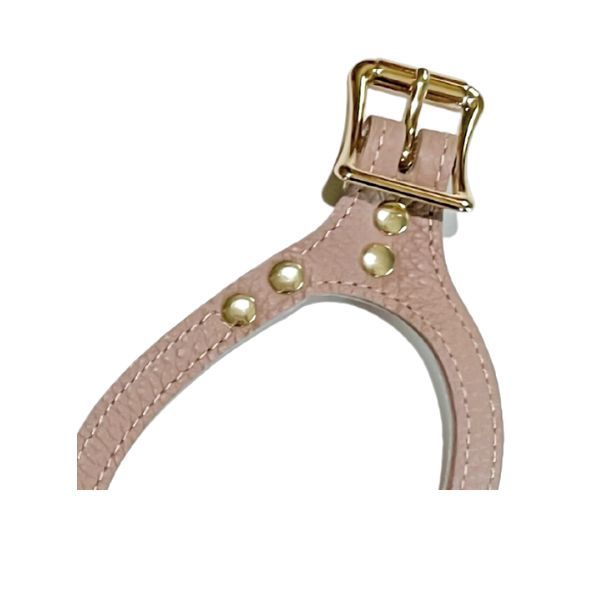 BELT BUDDYBELT犬