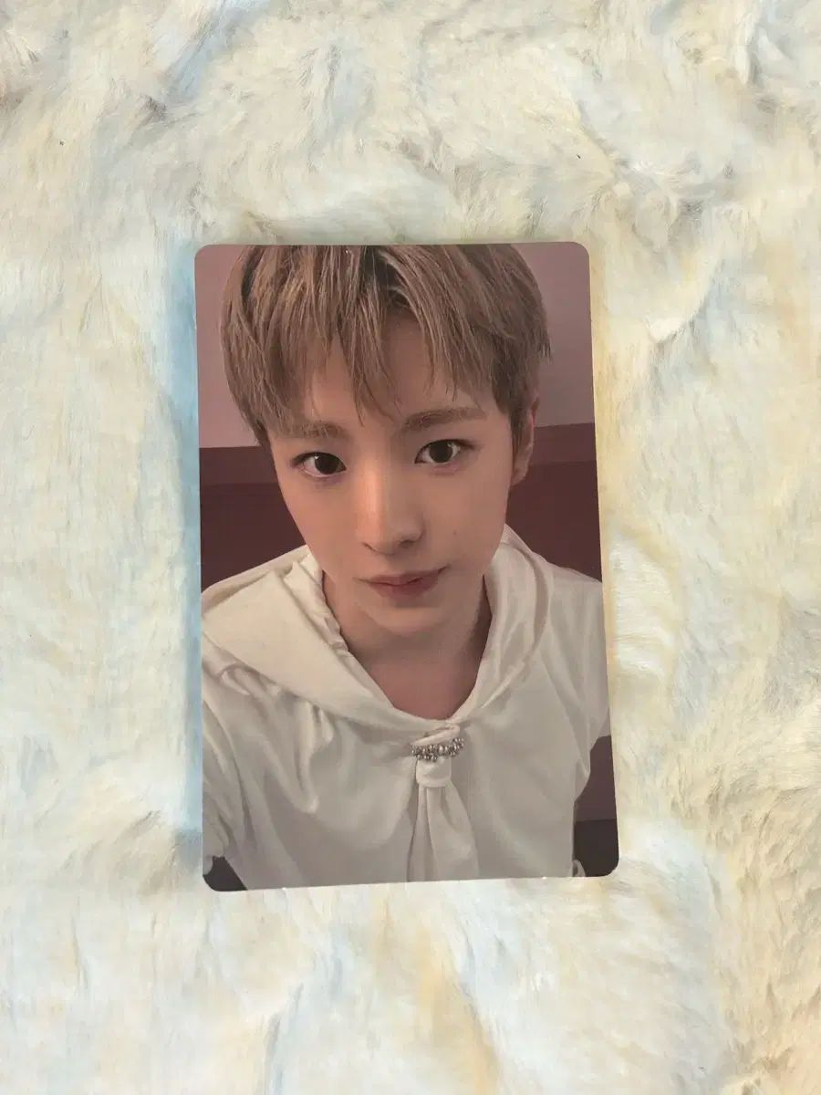 エンシティウィッシュ COLOR ジュエルケース JEWEL アルバム ゆう市