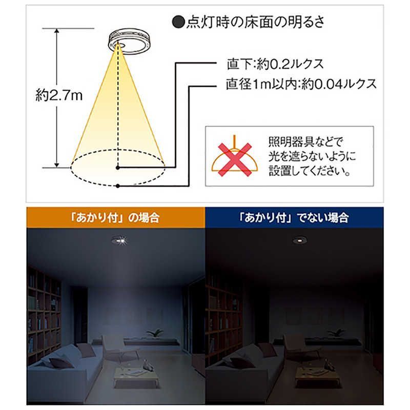 電池式