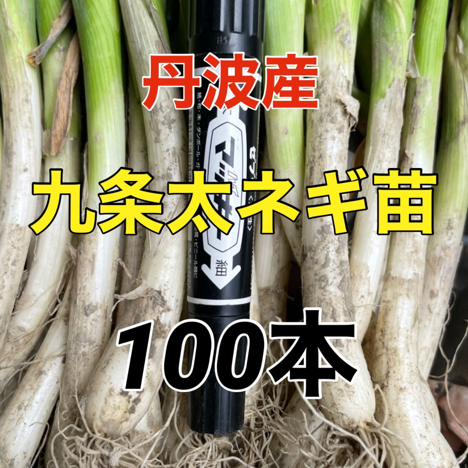 daisanfarm_nabechang-nae
