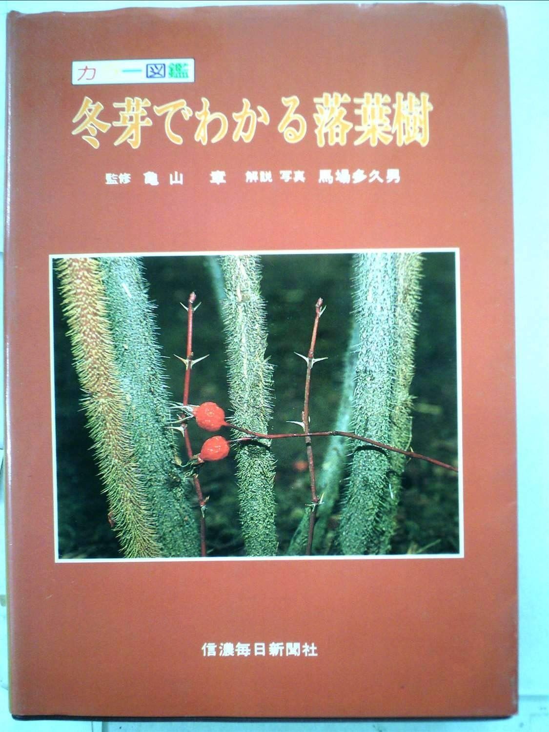 冬芽でわかる落葉樹― 図鑑 1984年