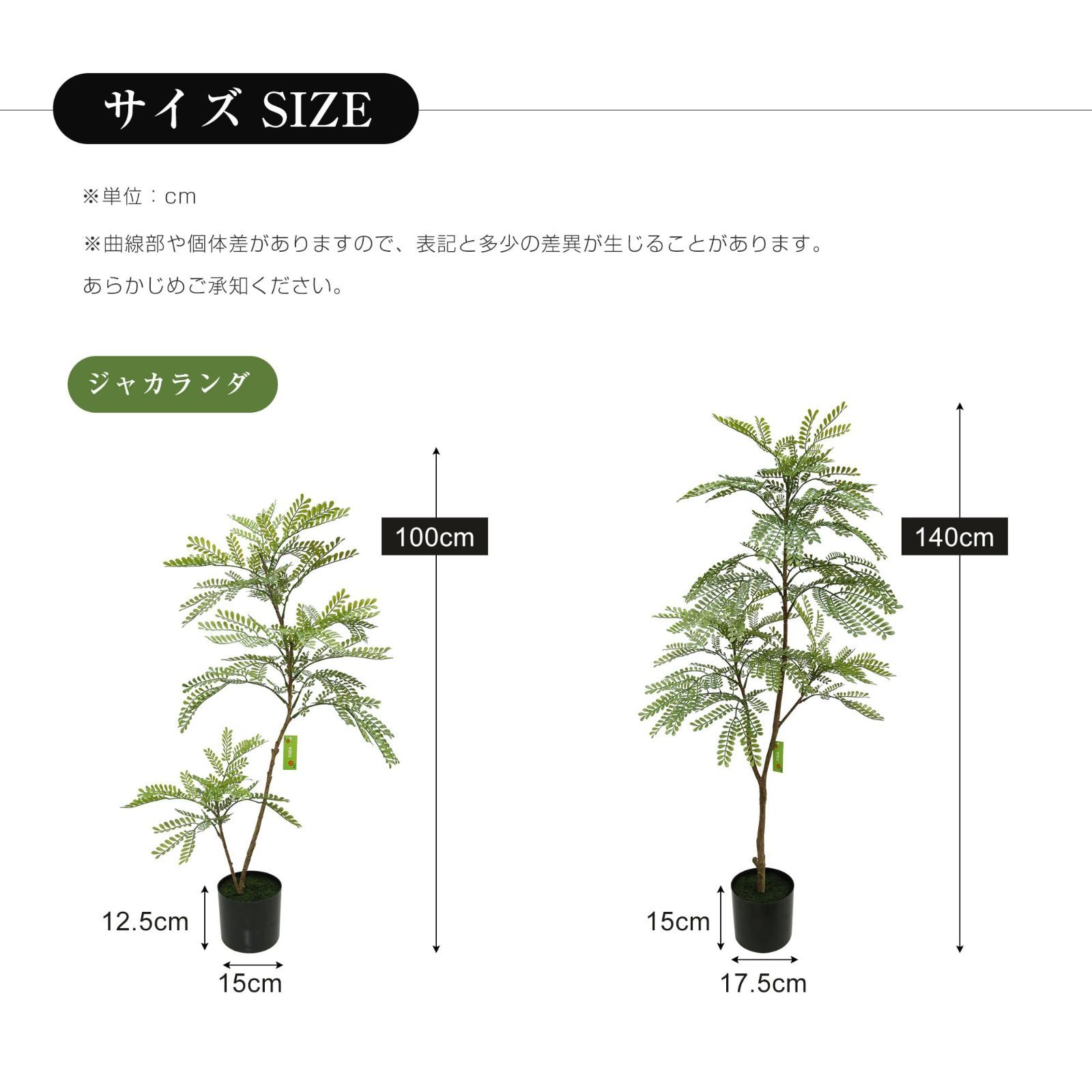 光触媒 ジャカランダ