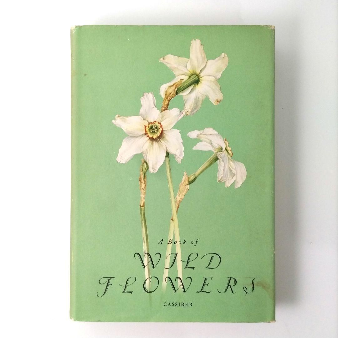 1956年 Wild Flowers by Elsa Maria Felsk