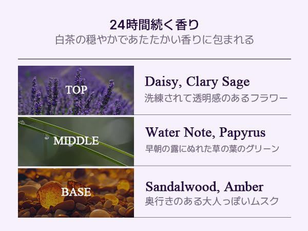 新品 TEABLESS（ティーブレス）セージアンバーパープルティー 480g 重みのある甘さのウッディフローラルノート ボディローション お茶 低刺激 セラミド 保湿 乾燥肌 香水ボディケア 【公式】