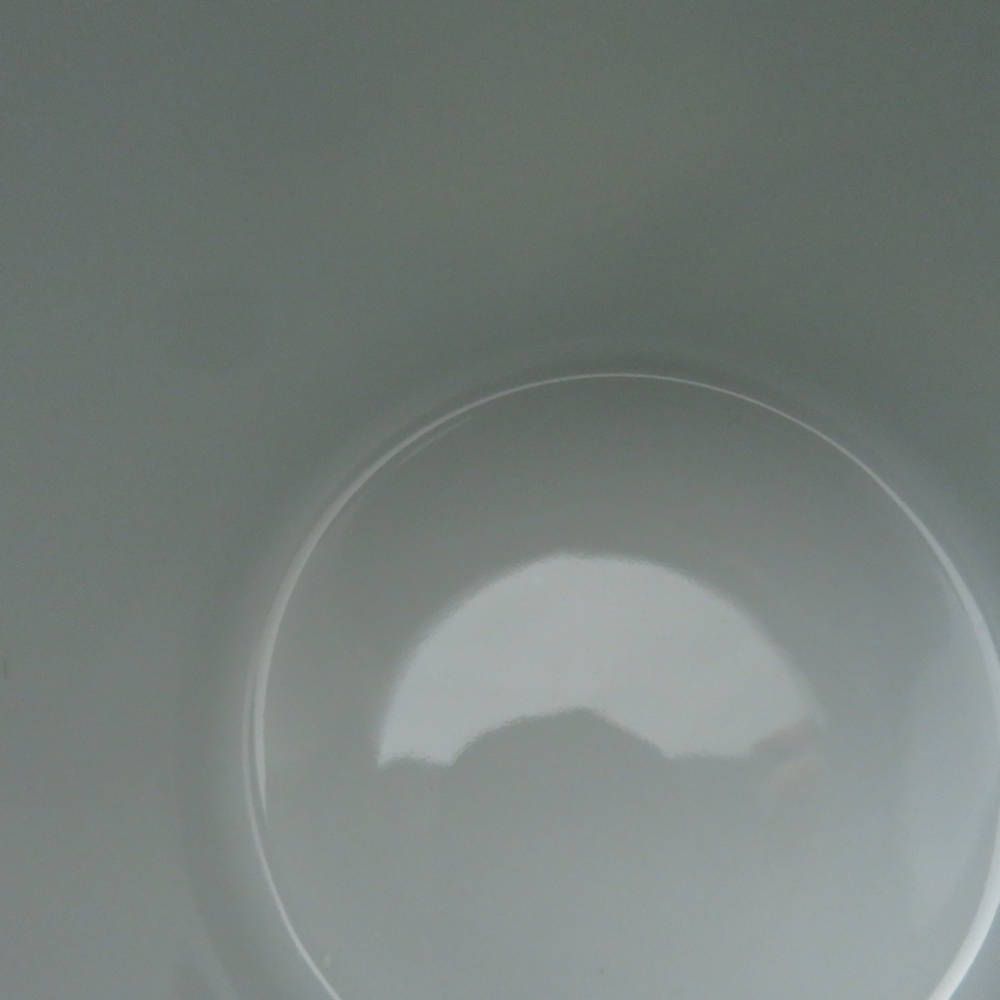  スターバックス JAPAN 2010 有田 マグカップ 1点 スタバ 有田焼 マグカップ コーヒー ティーカップ