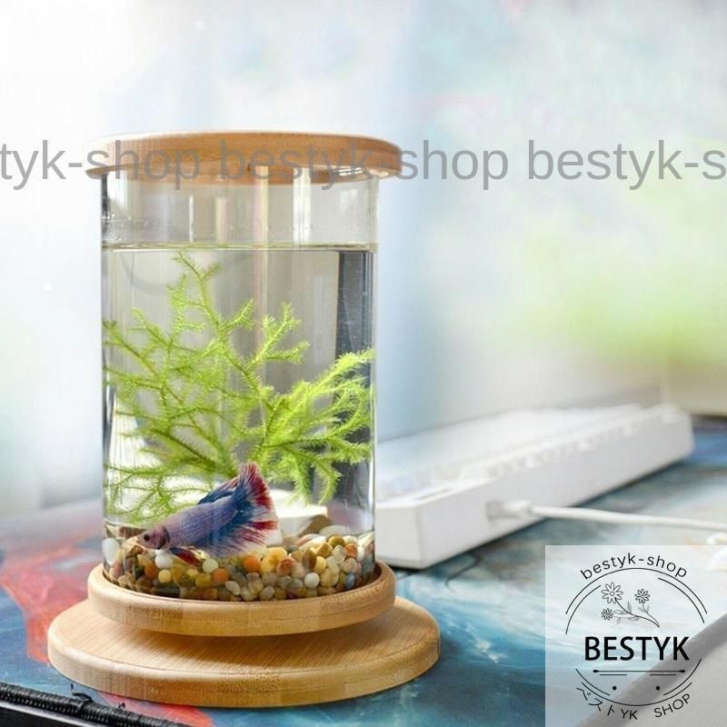 bagusstyle☆天然木　リサイクルガラス　アクアリュウム　ベター飼育等 pinto-store_set0003