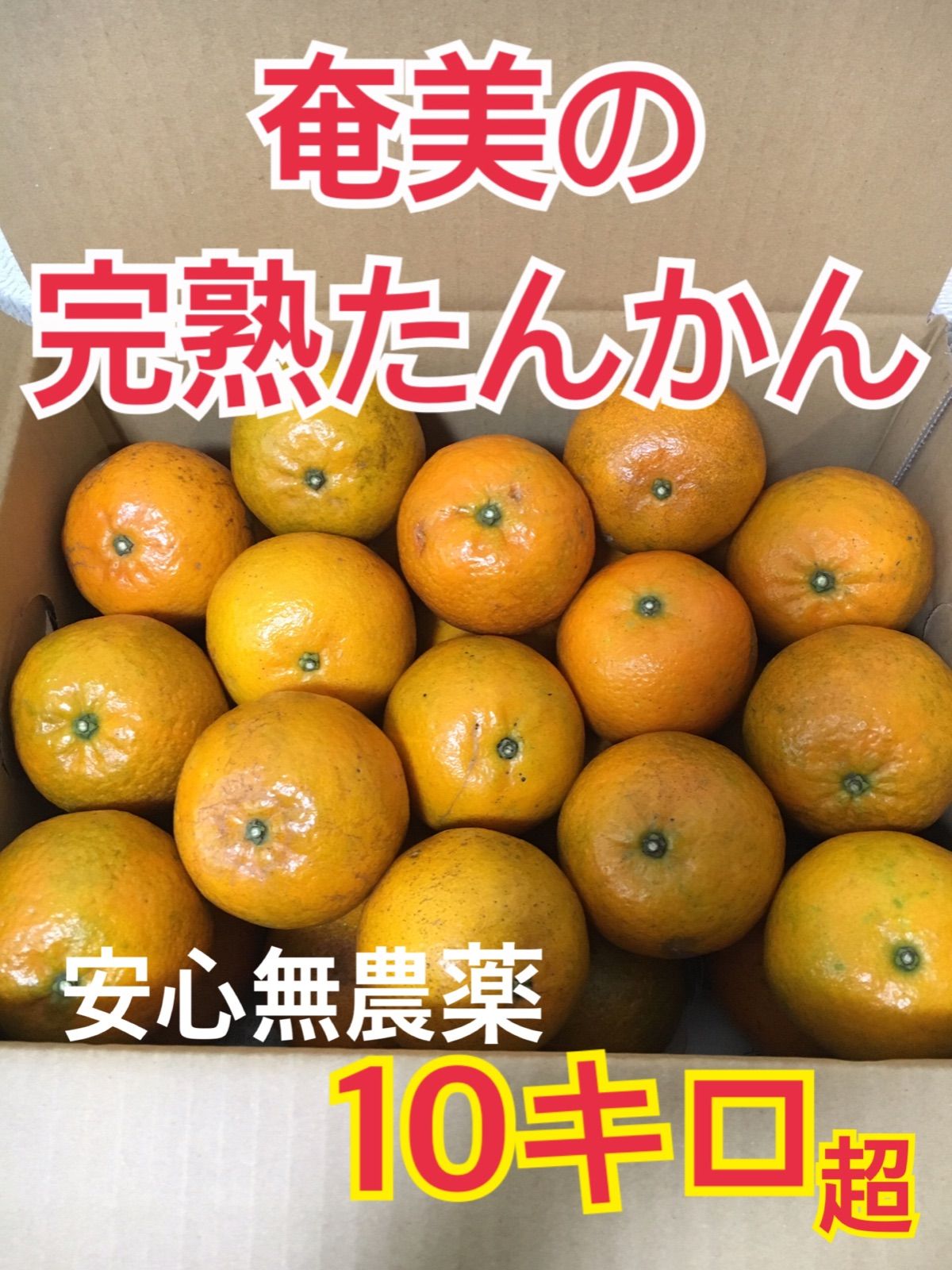 奄美大島産 無農薬 完熟 たんかん