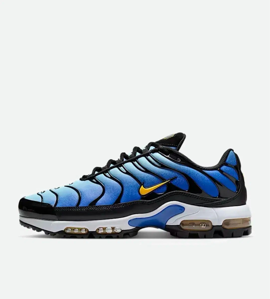 NIKE ナイキ ゴルフシューズ エアマックス プラス G 270mm