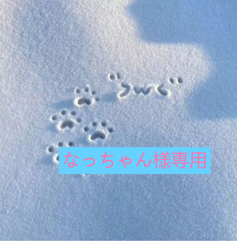 Nacchan 様 専用ページnacchan専用 【公式通販】