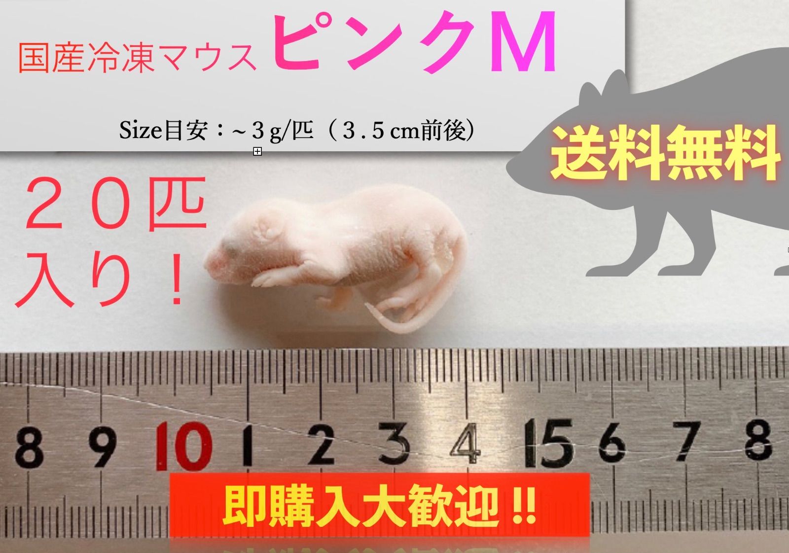 国産冷凍マウス ピンクL 20匹(地域限定送料無料) - 爬虫類